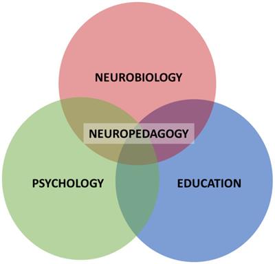 Agents of change: integration of neuropedagogy in pre-service teacher education